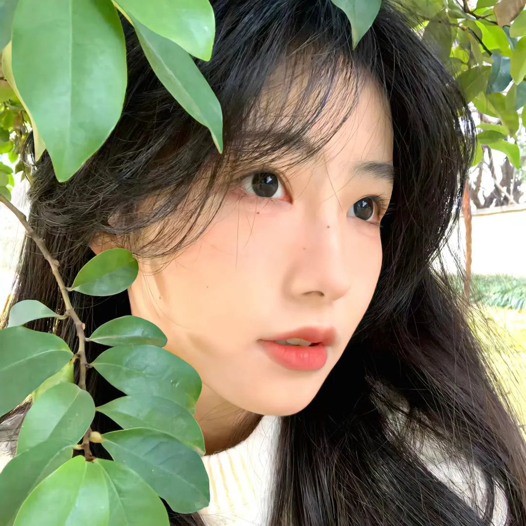 月落大地